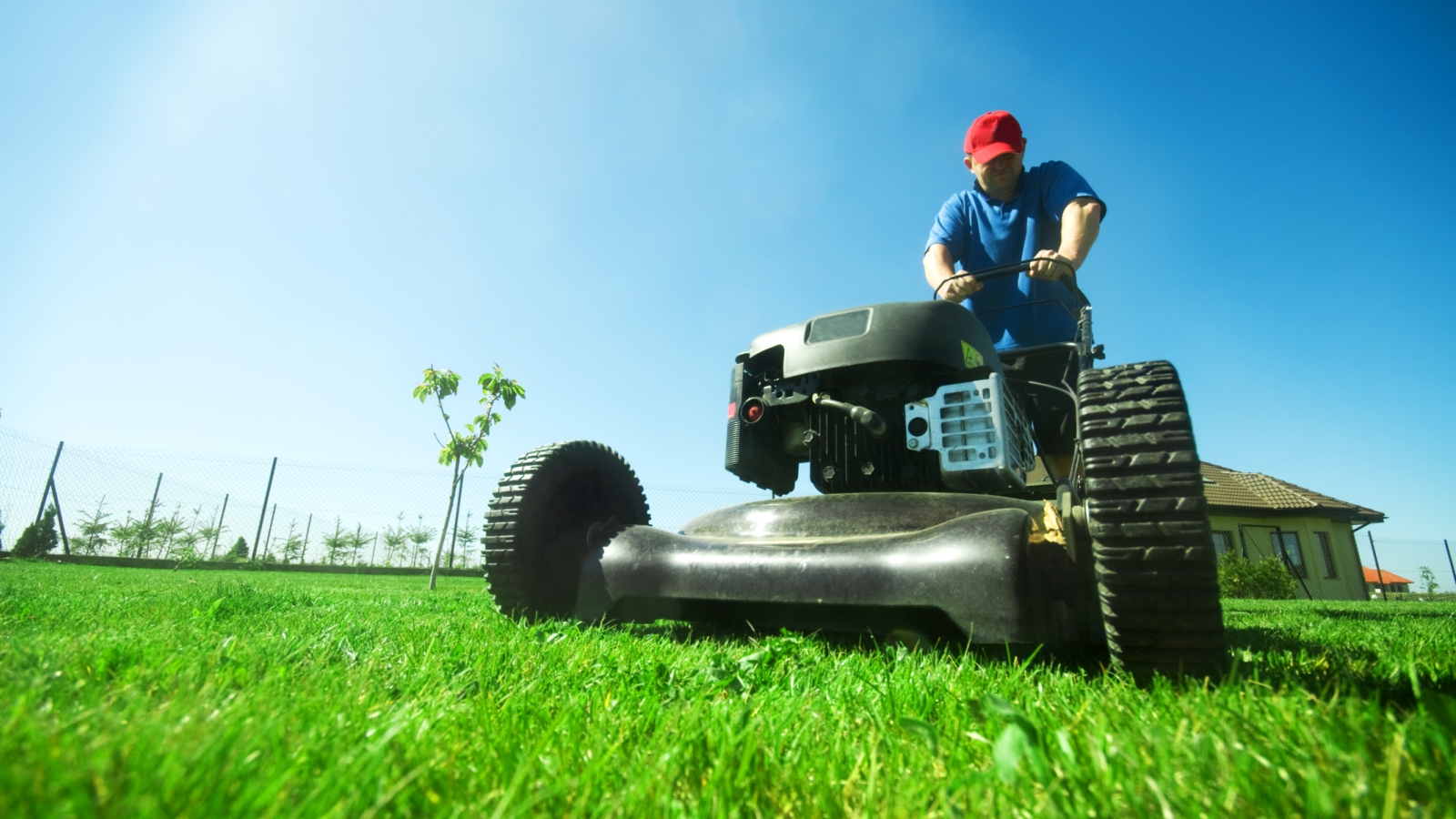 lawn mover app