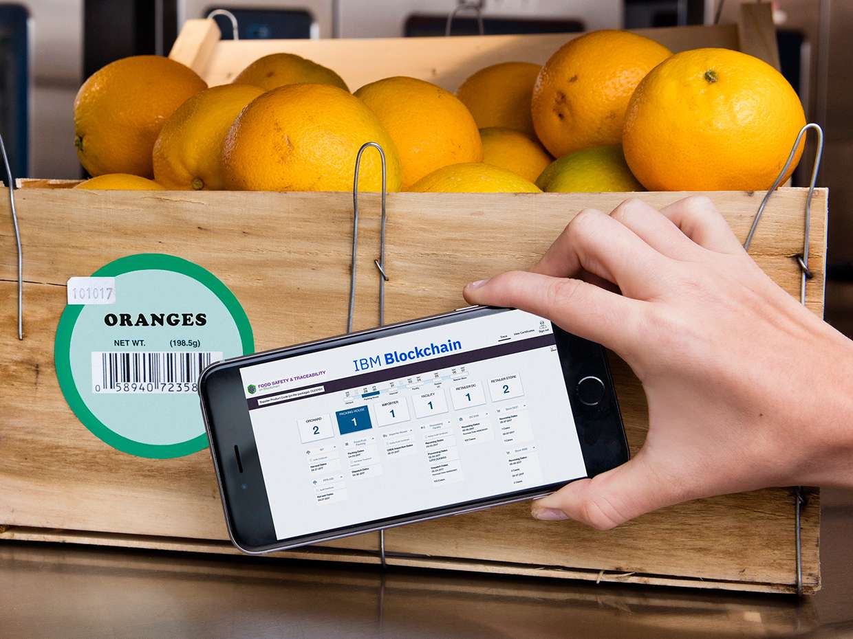 blockchaininfoodindustry Octal Info Solution