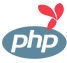 PHP Yii Customization Services