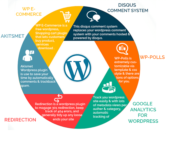 Understanding More Wordpress services  